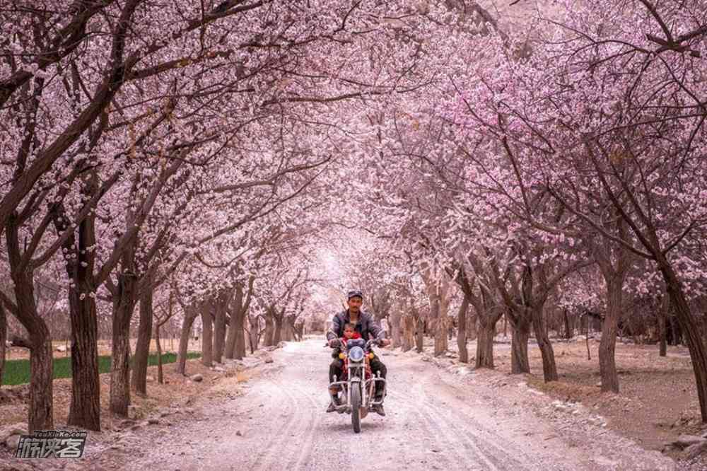 清明节旅游好去处