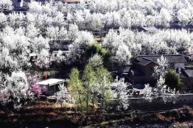 四川最美自驾旅游推荐