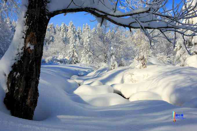 冬季拍雪哪里好？东北长白有雪岭