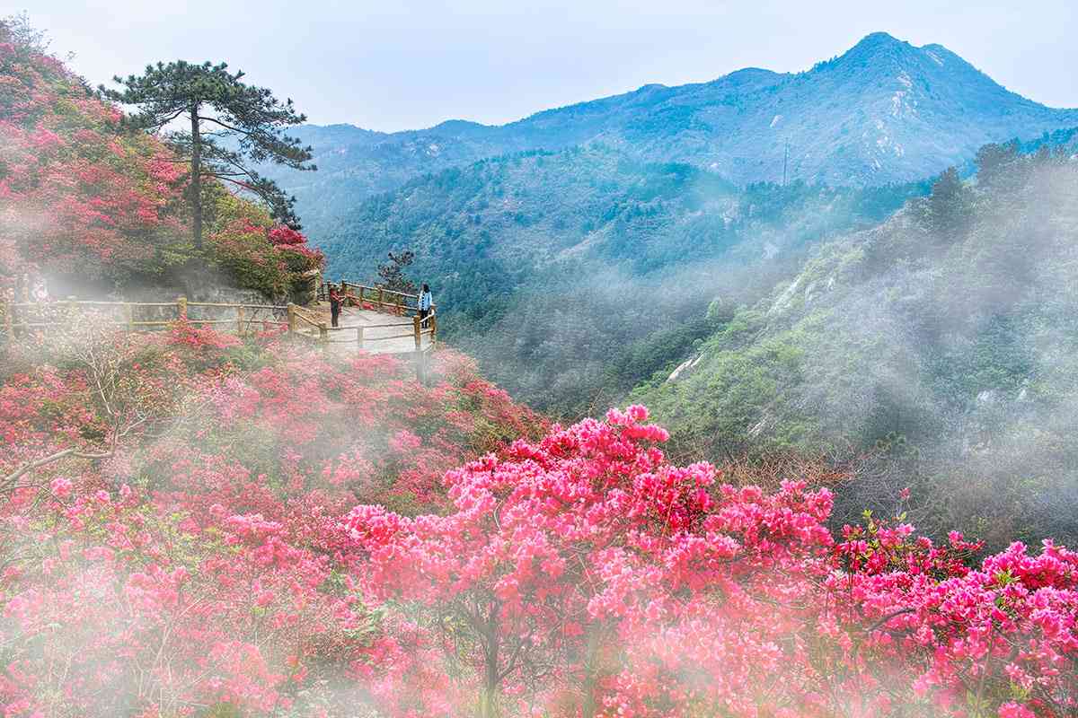 武汉周边游（黄陂木兰八景）