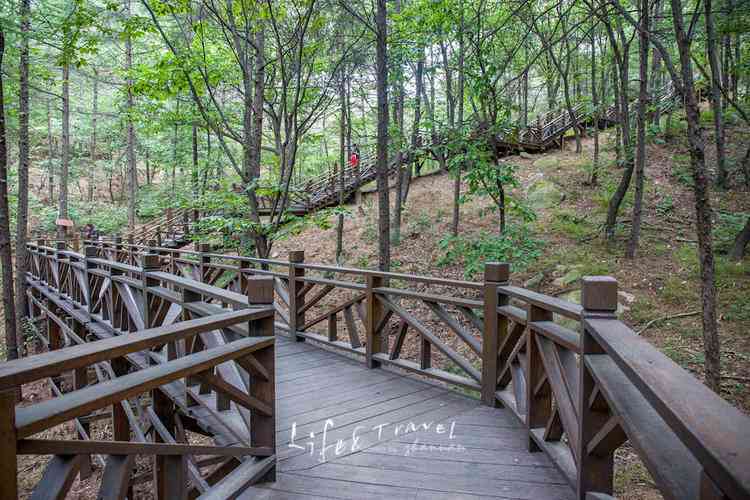 革命老区沂蒙山换新颜，蒙山风景区必去景点推荐