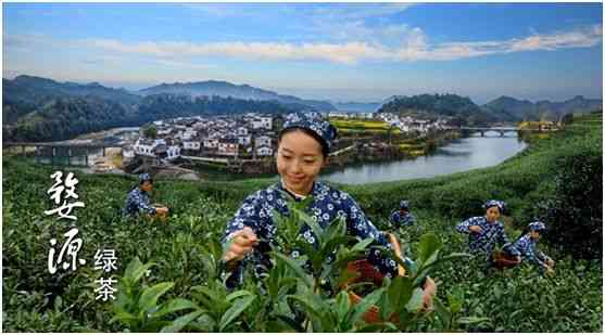 中国绿茶之乡——婺源