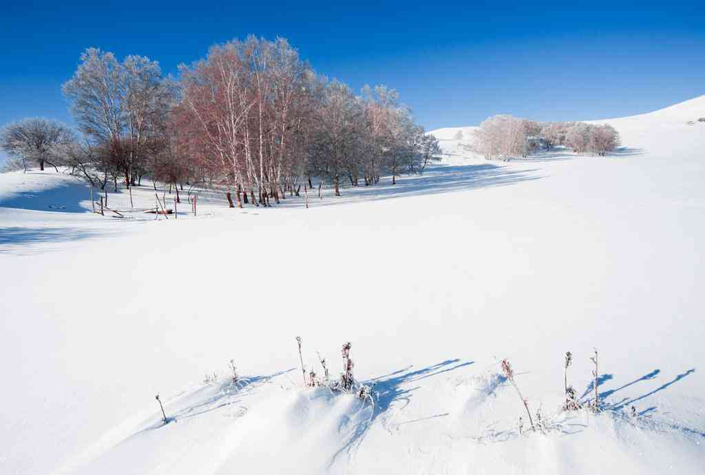 红星湿地雪原怎么样