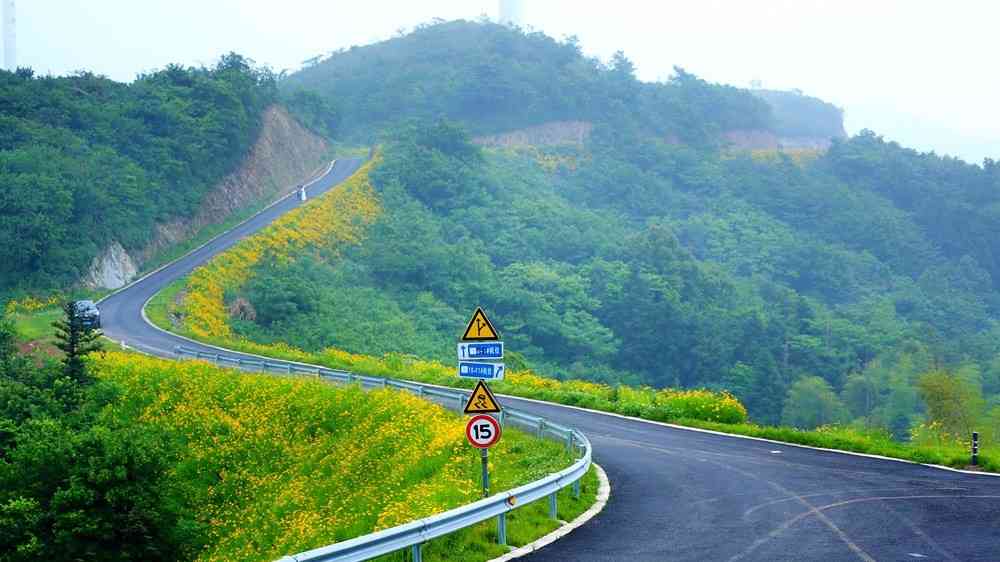 华东香格里拉菩提岭风车古道景色如何？