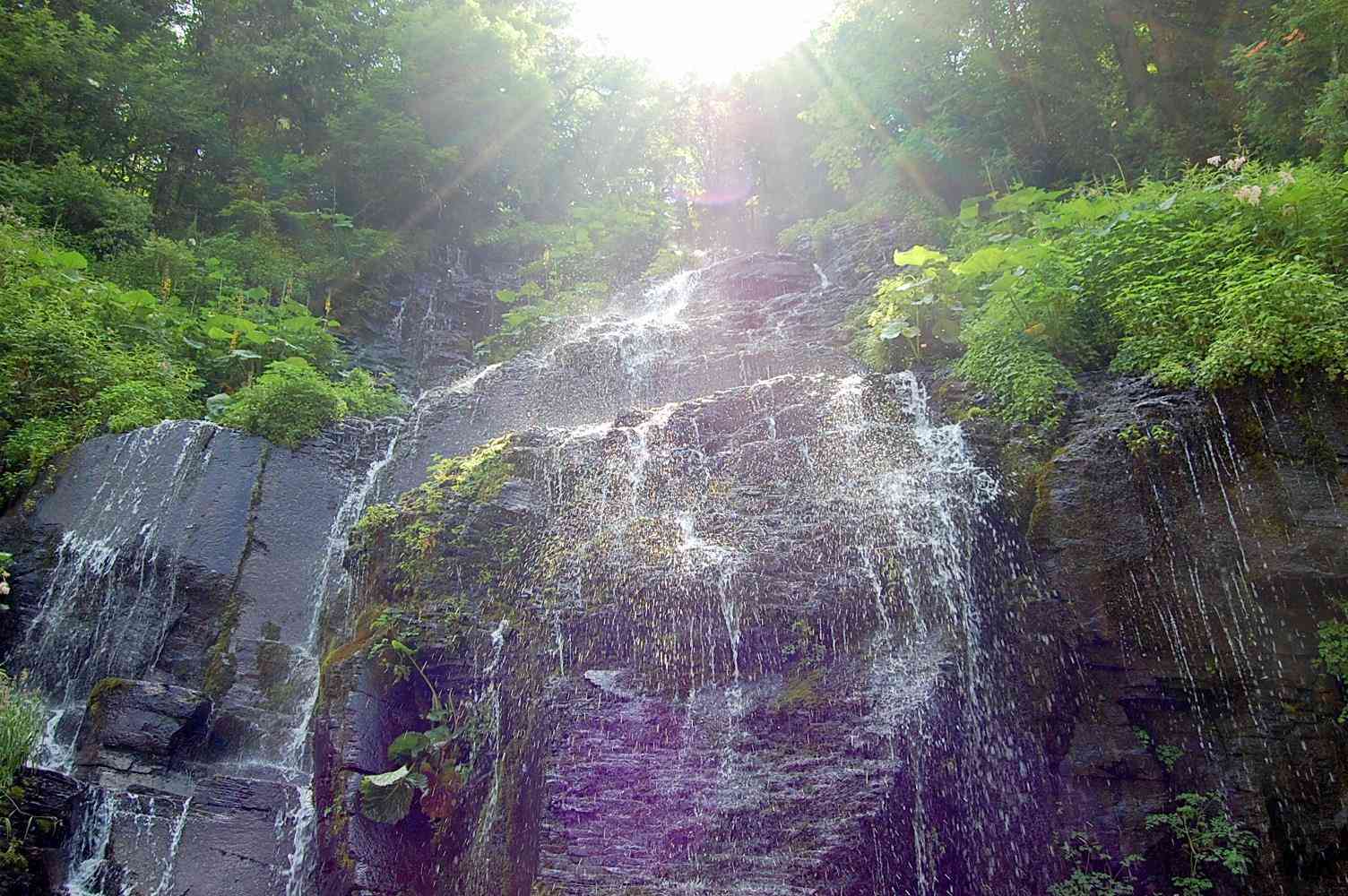 望天鹅景区值得去吗