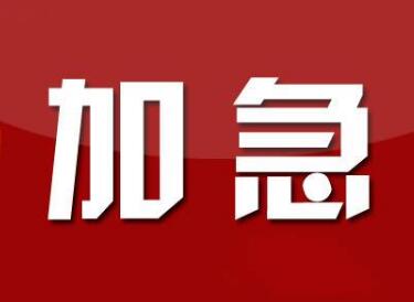 有什么办法可以加快印度签证的申请吗？