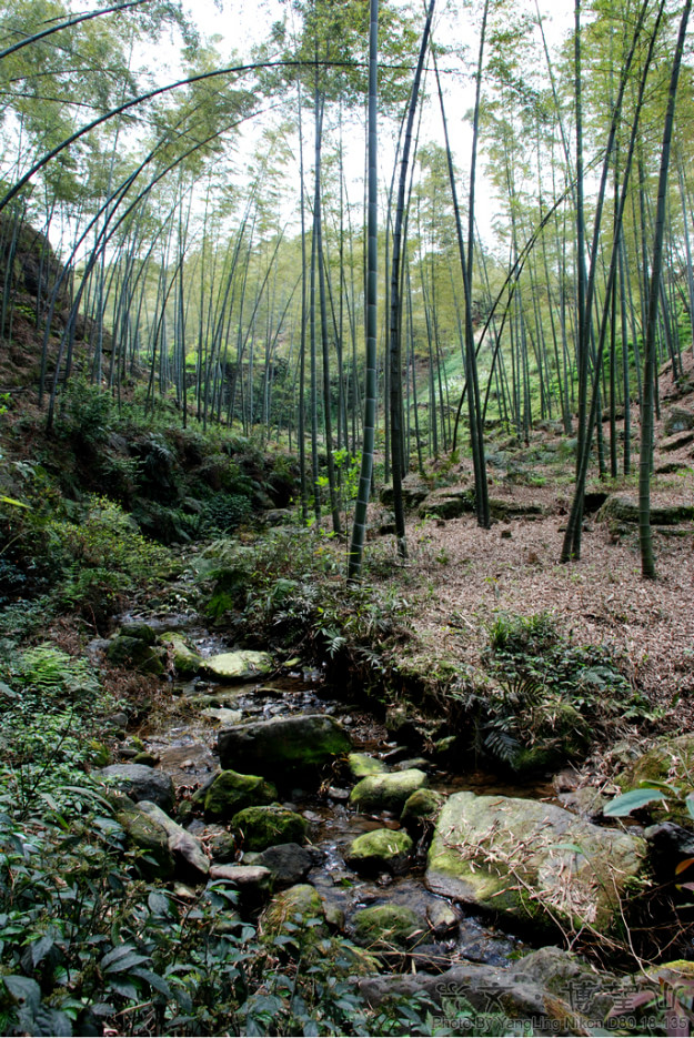 僰王山