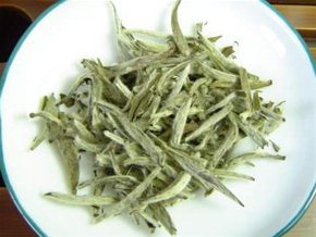 南山白毛茶