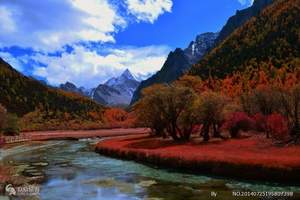 淄博到稻城亚丁汽车纯玩八日游 淄博旅游团到稻城亚丁纯玩八日游