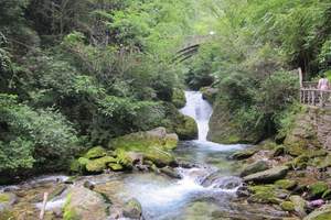 西安周边旅游线路 西安去洛阳老君山二日游（体验生态旅游）