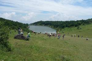 国庆福州周边一日游 福州云顶山景区 永泰云顶一日游