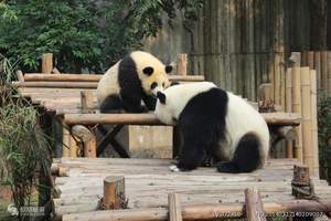 【成都旅游行程安排】黄龙单飞单卧七日|去九寨沟旅游查询与预订