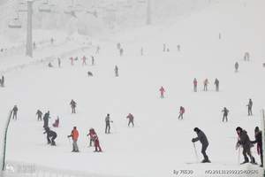 贵州到四川成都西岭雪山深度观光双飞三日游 贵阳到西岭雪山旅游