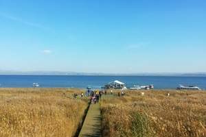 青岛到内蒙古旅游 青岛去额济纳、胡杨林、居延海双飞六日游