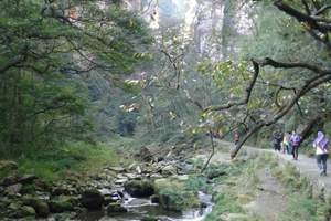 青岛到长沙韶山张家界黄龙洞土王府凤凰古城至尊纯玩双卧8日游