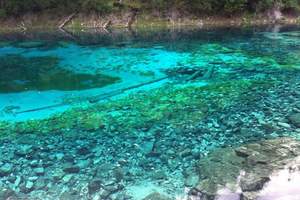 石家庄发团去四川旅游*郑州、九寨沟、黄龙双座双飞4日（散客）