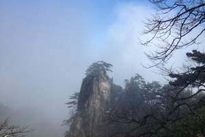 上饶到黄山二日游