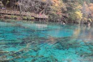 宜昌到四川旅游_宜昌出发—成都、九寨沟、牟尼沟双卧5日游