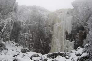 昆明轿子雪山旅游|昆明轿子雪山一日游