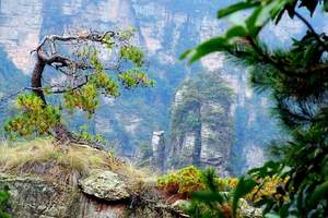 情人节去哪里旅游，长沙到张家界旅游，袁家界、黄龙洞三日游