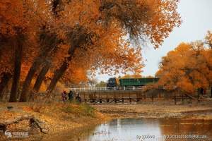 北京到胡杨林最热门线路：额济纳旗、中蒙边境、东风航天城双卧八