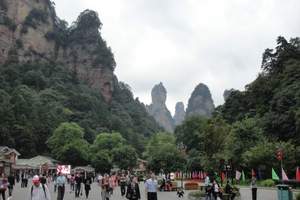 北京到张家界旅游：张家界、芙蓉镇、凤凰古城双飞三日游