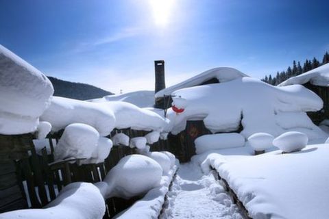 <哈尔滨-亚布力-雪乡-吉林7日游>雪乡穿越，户外体验（当地游）