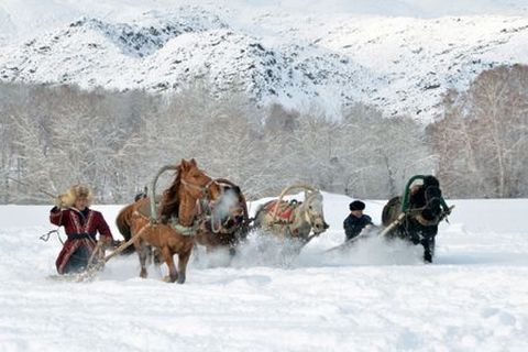 <亚布力-新体委滑雪场-二浪河-雪乡3日游>滑雪赏雪（当地游）