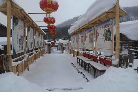 <哈尔滨-雪乡-亚布力2日游>哈尔滨参团，农家火炕 滑雪（当地游）