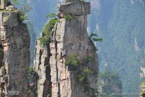 重庆到张家界旅游价格_张家界赠送漂流四日游_张家界旅游线路