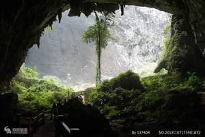 南宁到巴马两日游（百魔洞、百鸟岩、长寿村、水晶宫）