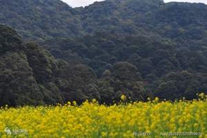 深圳到东莞一日游 隐贤山庄【快活谷】欢乐一日游