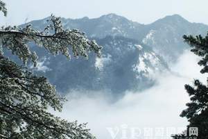 五四青年节去哪里旅游比较好，张家界、凤凰古城纯玩四日游（晚）