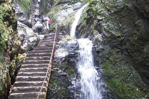 9月赤壁观猴、赏瀑、泡温泉一日游